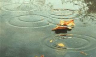 秋天的雨课文内容 秋天的雨从哪三个方面写的